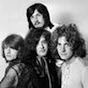 Profile Picture of AmplifiedRock (@@AmplifiedRock) on Tiktok