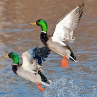 Profile Picture of Devon Rich (@devon-rich-18) on Quora