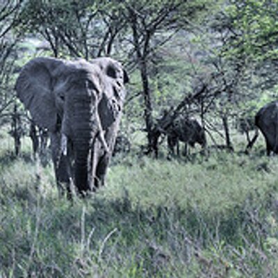 John Truax - Twitter Profile Picture of John Truax (@JohnTruax2) on Twitter