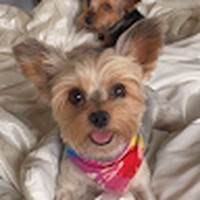 Profile Picture of Bianca Espinoza (@bianca-espinoza-49) on Quora