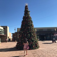 Profile Picture of Crystal Li (@crystal-li-83) on Quora