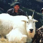 Profile Picture of C Gray (@cliffgry) on Instagram