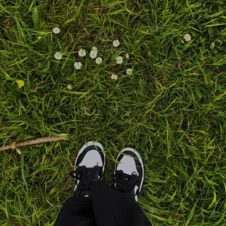 Profile Picture of Paula Arndt (@paulaarndt00) on Tiktok