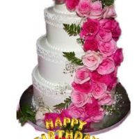 Profile Picture of brentbailey06803 (@brentbailey06803) on Tiktok