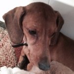 Profile Picture of Adrian Hagen (@adrianhl00) on Instagram