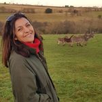 Profile Picture of Kerry sutton (@kerry.a.sutton) on Instagram