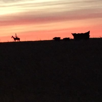 Profile Picture of Robert Timson (@timson_robert) on Twitter