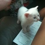 Profile Picture of James Campano (@jamescampano) on Instagram