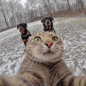 Profile Picture of Oliver Jaramillo (@oliverjaramillo1283) on Youtube