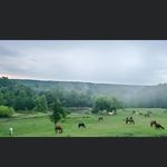 Profile Picture of tamarack stables (@tamarack_outfitters) on Instagram