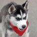 Profile Picture of David Zuluaga (@david.zuluaga.7906) on Facebook