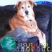 Profile Picture of Al Knapp (@al.knapp.71) on Facebook