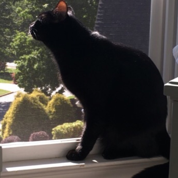 Profile Picture of Isabella Deckner (@isabelladeckner) on Poshmark