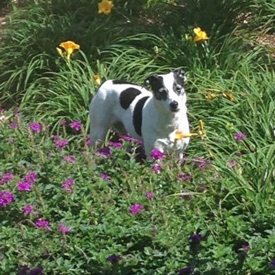 Profile Picture of Scott Robison (@jscottrobison) on Twitter
