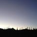 Profile Picture of Alison Rogers (@alison5280) on Pinterest