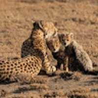 Profile Picture of Jacob Sher (@jacob-sher-1) on Quora
