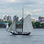 Matthew Dalton - Flickr Profile Picture of Matthew Dalton (@mdalton83) on Flickr