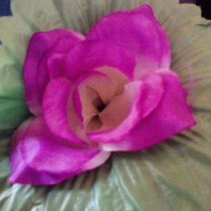 Profile Picture of Peter Mburu (@PeterMb98642021) on Twitter