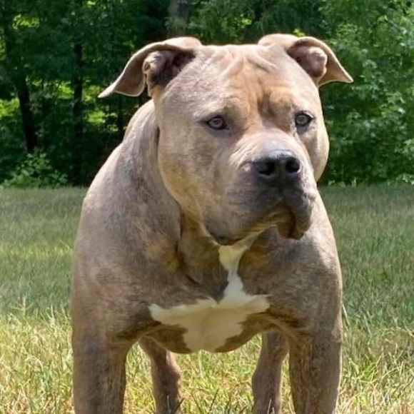 Profile Picture of Jeremy Tilley (@jeremytilley850) on Poshmark