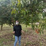 Profile Picture of Keo Sinath (@sinath168) on Instagram