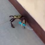 Profile Picture of Len (@lennicholson) on Instagram