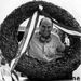 Profile Picture of Paul Pietsch (@paulpietsch93) on Pinterest