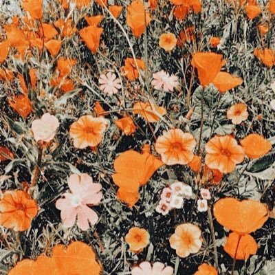 Profile Picture of Nicole Kachelhoffer (@NicoleKachelho1) on Twitter