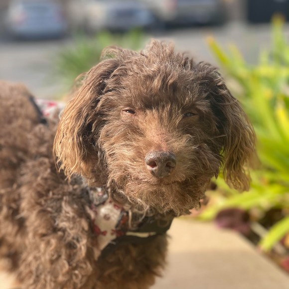 Profile Picture of Loni Marcus (@marcuslo) on Poshmark