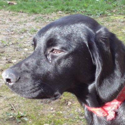 Profile Picture of Jake Henley (@Jakehenley2007) on Twitter