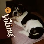 Profile Picture of Arlene Conway (@fre_wa_luv_me) on Instagram