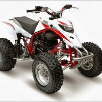 Profile Picture of Mitchell Abramson (@mitchell-abramson) on Quora