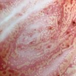 Profile Picture of Alice Hallifax (@alice_hallifax) on Instagram