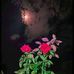 Profile Picture of Kajal Kunari (@Kajal-Kunari) on Facebook