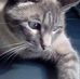 Profile Picture of Aurora Dunn (@aurora.dunn.792) on Facebook