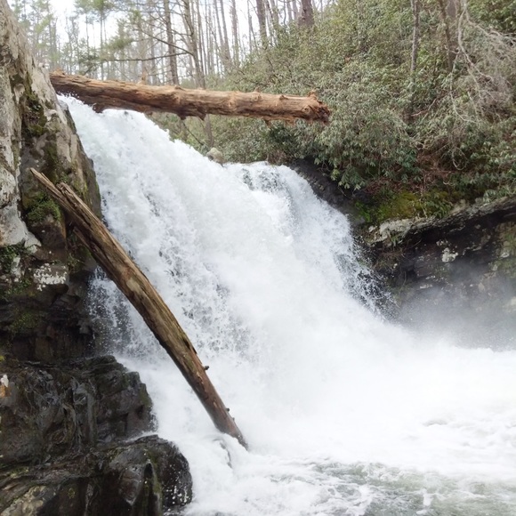 Profile Picture of Xi Zhang (@cicicindy) on Poshmark