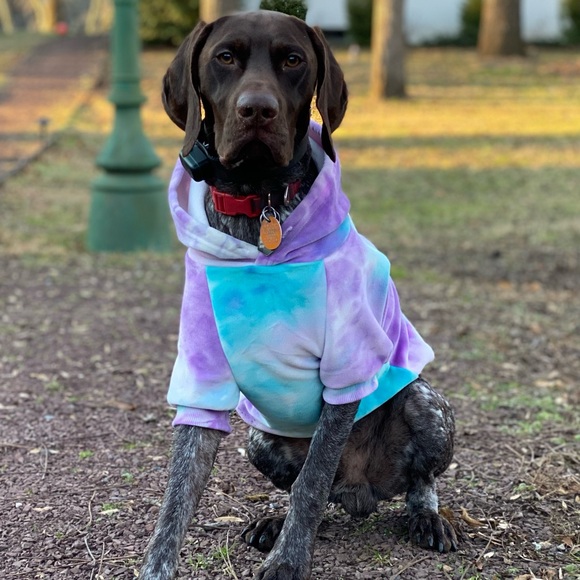 Sue Thornton - Poshmark Profile Picture of Sue Thornton (@baribird6) on Poshmark