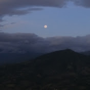 Profile Picture of Wilmer Quelal (@wilmerquelal6860) on Youtube