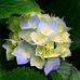 Profile Picture of Tina Keaton (@tina.keaton.7) on Facebook