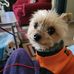 Profile Picture of Brenda Luciercookson (@brenda.cookson.927) on Facebook