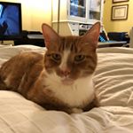 Profile Picture of Nancy Chapdelaine (@nancy.chapdelaine) on Instagram