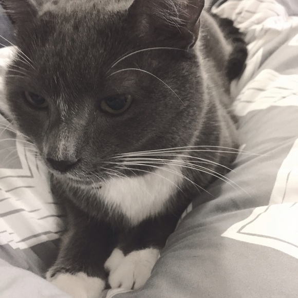 Profile Picture of Denise Atherley (@dra90) on Poshmark