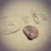 Profile Picture of Kristine Blevins Roach (@khroach) on Pinterest