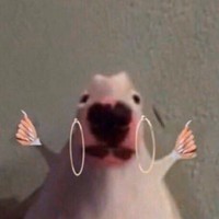 Profile Picture of Bryan Rioux (@bryan-rioux-4) on Quora