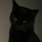 Profile Picture of Danielle Kyle (@elyk.ponce) on Facebook