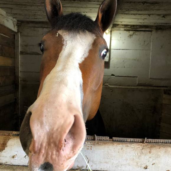 Profile Picture of Ann Cooley (@ann_cooley) on Poshmark