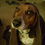 Profile Picture of Michael Kaitz (@kaitzmichael) on Instagram
