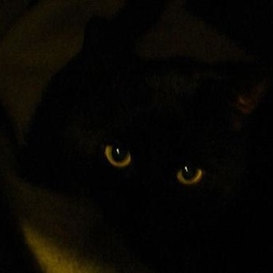 Profile Picture of Sampson G (@299724774) on Myspace