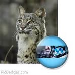 Profile Picture of Jason M Deslaurier (@jason.deslaurier) on Facebook