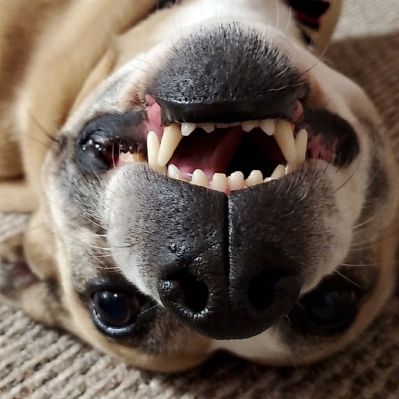 Profile Picture of Cruz Cabanas (@issjssjjsjs) on Poshmark