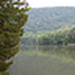 Profile Picture of Medicfoster (@medicfoster) on Flickr